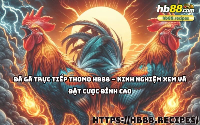 Đá Gà Trực Tiếp Thomo HB88