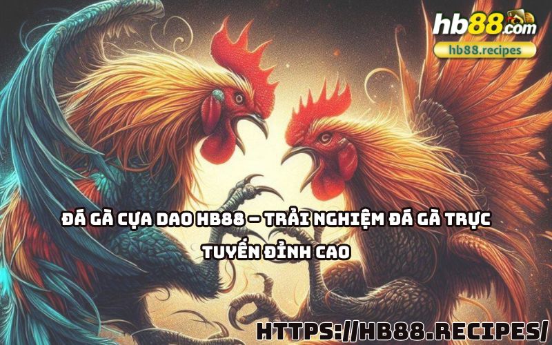 Đá gà cựa dao HB88