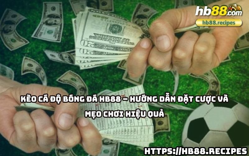 kèo cá độ bóng đá HB88